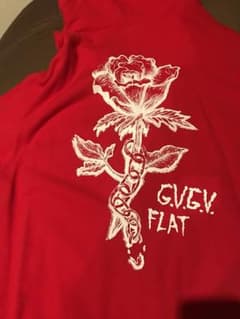 g.v.g.v.のサムネイル