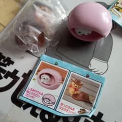 다 26. 가챠 완성 후 고양이 아츠메 3. 키도 씨, 시로 미케 씨.