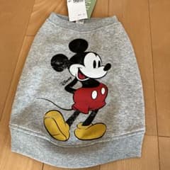 犬服のサムネイル