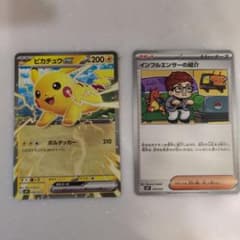 インフルエンサーの紹介 ポケモンカードゲーム MEGA ヒカキン