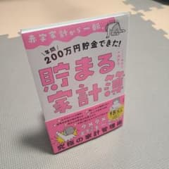赤字家計から一転、年間200万円貯金できた! 貯まる家計簿のサムネイル