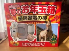 ヨドバシカメラ 2026年 夢のお年玉箱 暖房家電の夢 - メルカリ