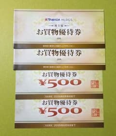 ヤマダ電機　ヤマダホールディングス　株主優待　11,000円分のサムネイル
