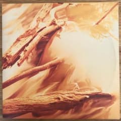 Windy & Carl – Depths アナログレコード LP - メルカリ