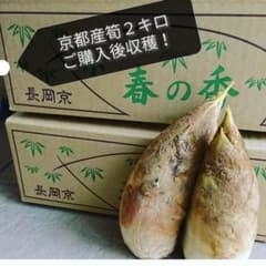 たけのこ２キロ！　本場　京都長岡京産のサムネイル