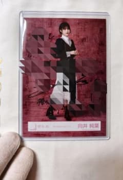 櫻坂46 向井純葉 直筆サイン 生写真 5thアニラ ドレス ヒキ ランダム 櫻坂46 向井純葉 直筆サイン 生写真 5thアニラ ドレス ヒキ ランダム