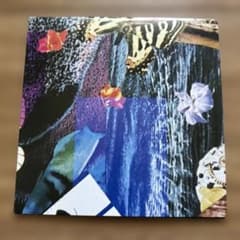 紙ジャケット ノイズ メルツバウ Merzbow Insect 801 秋田昌美 - メルカリ