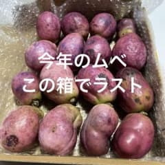 値下げ　④ あけび　ムベ　無農薬のサムネイル