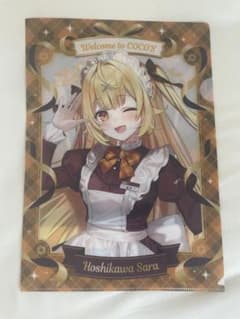 星川サラクリアファイルのサムネイル