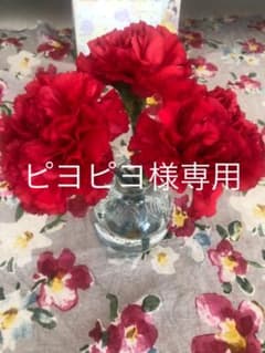 ピヨピヨ様専用のサムネイル