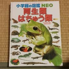 小学生の図鑑のサムネイル