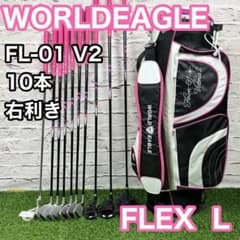 ワールドイーグル FL-01 レディース 10本 L 右 ゴルフセット 初心者