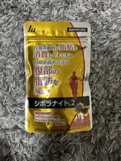 シボラナイト2のサムネイル