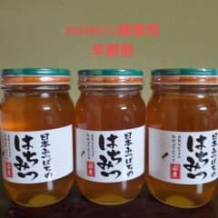 日本蜜蜂の純生ハチミツのサムネイル