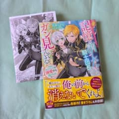 一夜の恋のつもりだったのに、記憶を消したはずの騎士団長がガン見してくる〜特典付きのサムネイル