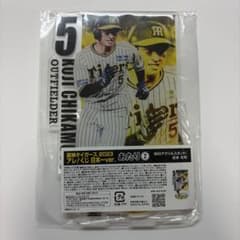 阪神タイガース 近本光司のサムネイル