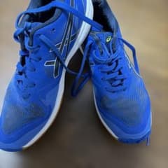 ASICS バレーボールシューズ Japan 24.5cmのサムネイル