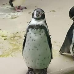 くらすけさん専用のサムネイル