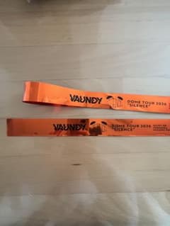 VAUNDY SILENCE DOMETOUR 2/15東京ドーム銀テープのサムネイル