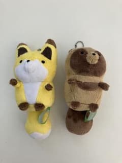 너구리와 여우 마스코트 인형