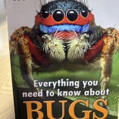 幼児用　昆虫図鑑　英語　イギリスのサムネイル