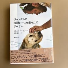 ジャングルの極限レースを走った犬 アーサーのサムネイル