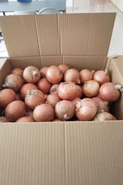 玉ねぎ　北海道北見産　Lサイズ　２０キロ　　良品のサムネイル