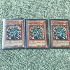 遊戯王 マンジュゴットのサムネイル