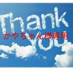 かやちゃん様専用です。のサムネイル