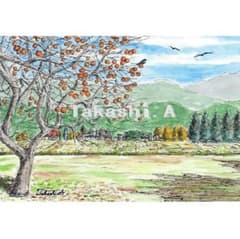 原画一点物 「柿の実が色づく秋の里山」 ＜ペンスケッチ＋透明水彩