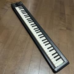 KORG EXB-PCM01 / TRITONシリーズ用PCM拡張音源ボード | Shop at