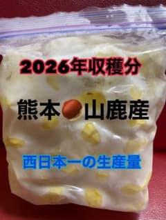 2025年収穫分 熊本産山鹿和栗 むき栗 - メルカリ