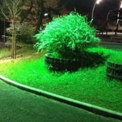べんすにーる様専用のサムネイル