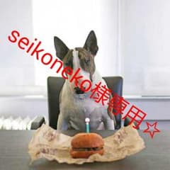 seikoneko様専用☆新生児ロンパのサムネイル