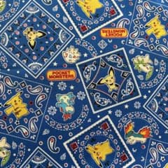 さ*中様 ★ポケットモンスター＊ペイズリー＊青★ハギレ3枚セットのサムネイル