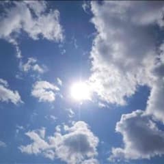 しんやさん専用のサムネイル