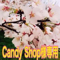 candyshop様専用のサムネイル