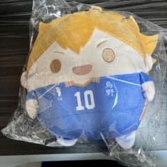 ハイキュー‼︎ くじメイト ぬいくじ C賞 ふわコロりんMsize 日向翔陽