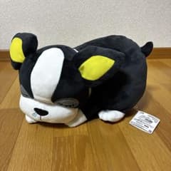 新作　イギー　ぬいぐるみ