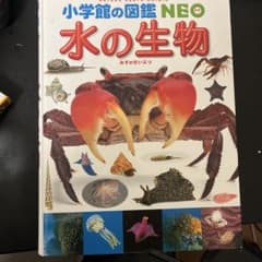 小学校の図鑑NEO 水の生物のサムネイル