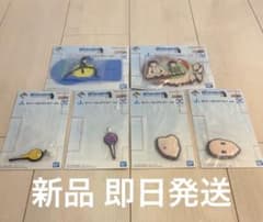 헌터 헌터 이치 반 쿠지 J 상 고무 컬렉션 6 점 세미 콤프