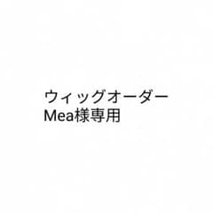 市川様 ウィッグオーダー 専用ページ 【モーゼス・トレイン6/30】 Mea様専用ページ - メルカリ