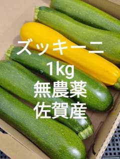 朝採りズッキーニ1kg5〜6本 佐賀産 農薬不使用 コンパクトいっぱいのサムネイル