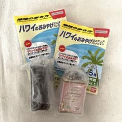 地球の歩き方　ハワイのおみやげミニチュアコレクション　ガチャのサムネイル