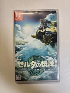 젤다의 전설 티어스 오브 더 킹덤 Nintendo Switch