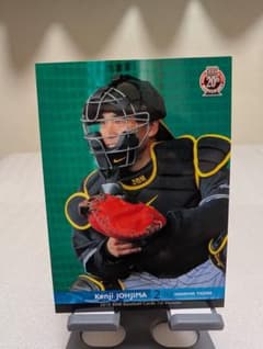 2010 BBM 城島健司 阪神タイガース ベースボールカード - メルカリ