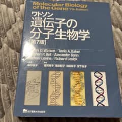 第7版ワトソン遺伝子の分子生物学 - メルカリ
