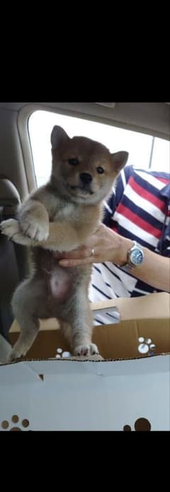 terano様・確認ページのサムネイル