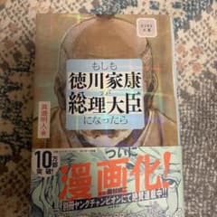 もしも徳川家康が総理大臣になったら : ビジネス小説のサムネイル