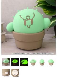 ぐちつぼ ルームライト - メルカリ